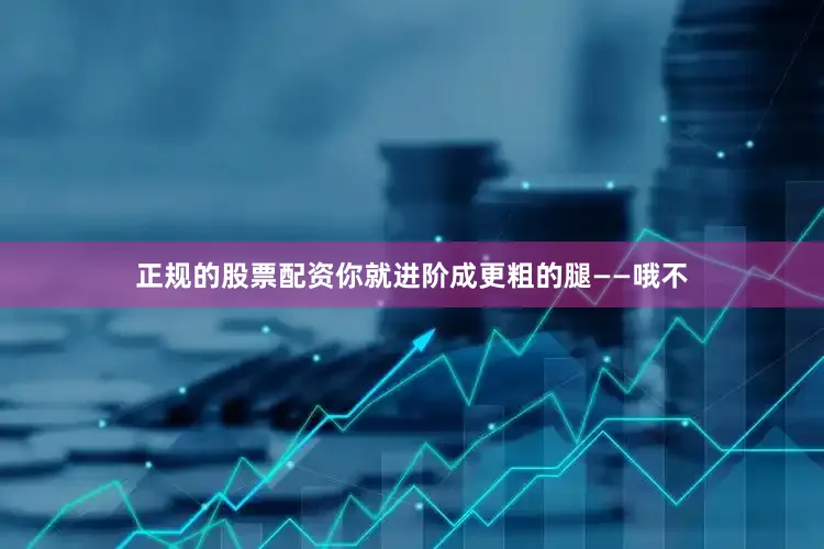 正规的股票配资你就进阶成更粗的腿——哦不