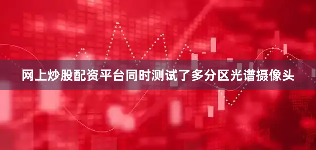 网上炒股配资平台同时测试了多分区光谱摄像头